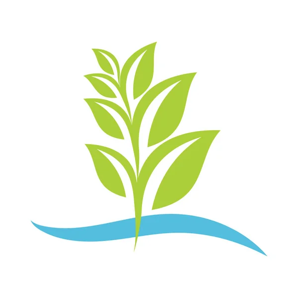 Екологічно Зелена Рослина Дизайн Векторні Ілюстрації — стоковий вектор