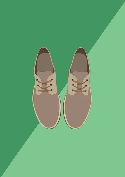 Zapatos Ilustración Vectorial Estilizada — Vector de stock