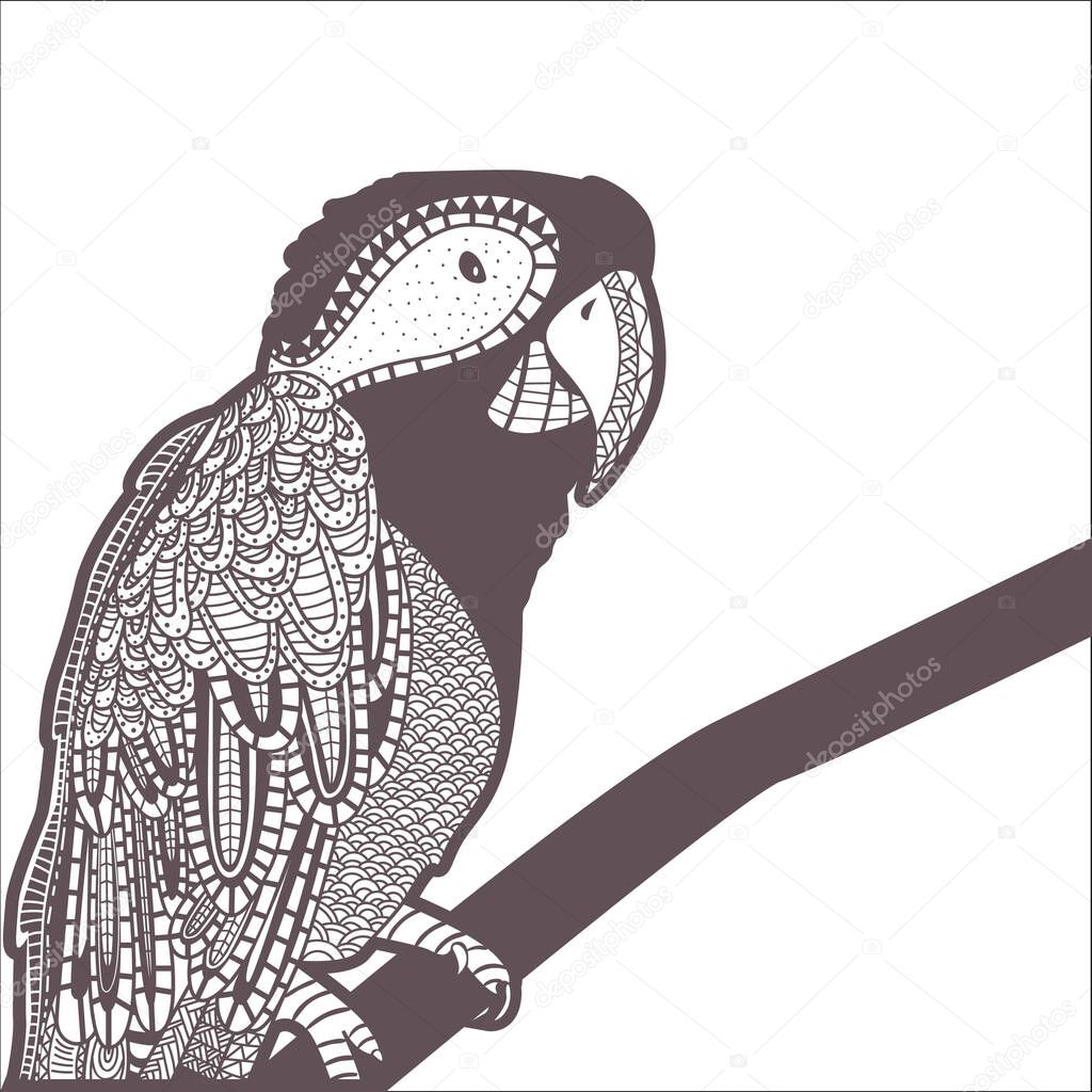 decorative parrot design stylized vector illustration