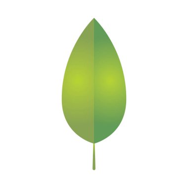 Yaprak simgesi, vektör illüstrasyonu