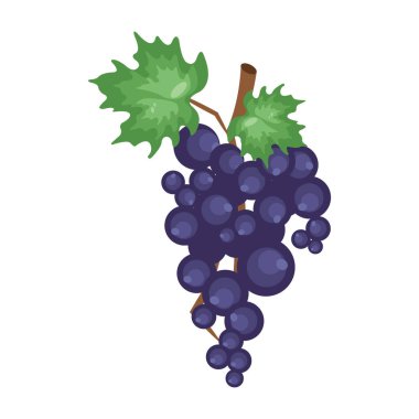 Üzümler düz simge, vektör illüstrasyonu