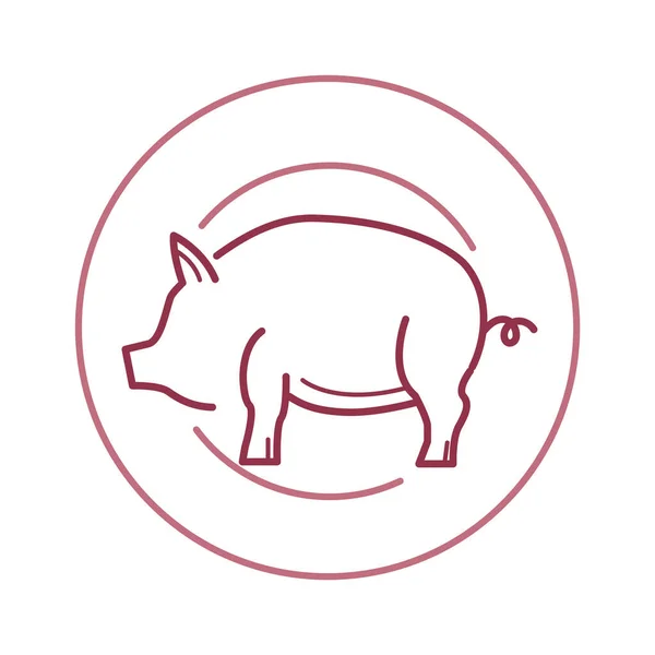 Pig Line Icon Vektorillustration — Stockvektor