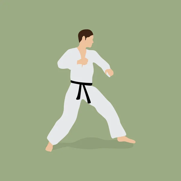 Karate Harcos Vektor Illusztráció — Stock Vector