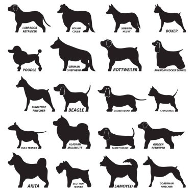 Köpek simgeleri, tasarım vektörü çizimi 