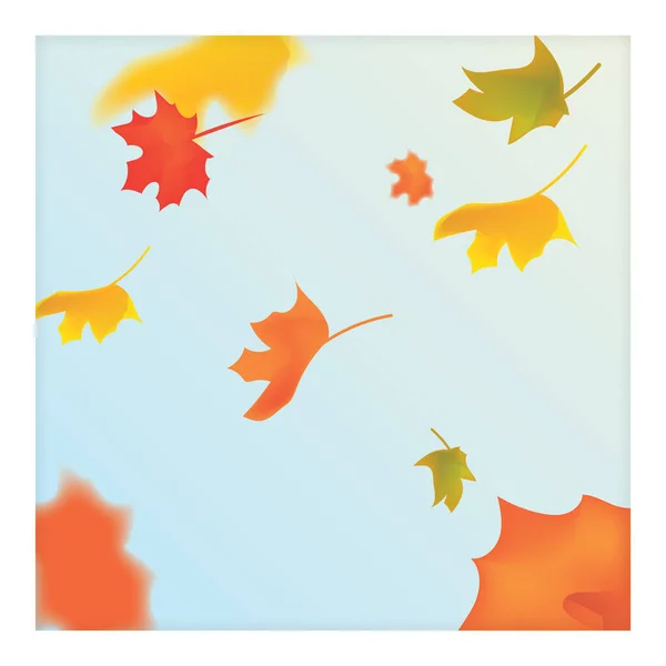 Autumn Leaves White Background — Stock Vector