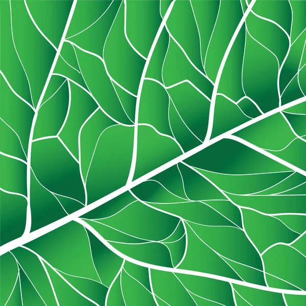 Fond Feuille Verte Illustration Vectorielle — Image vectorielle