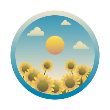 Güneş ve bulutlu bir alanın vektör çizimi