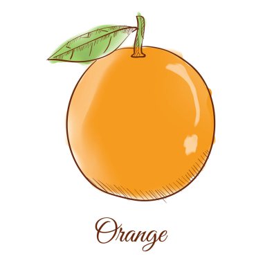 Sarı armutun vektör illüstrasyonu