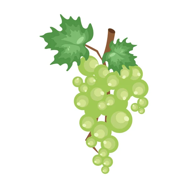 Vector Illustration Grapes — Stock Vector