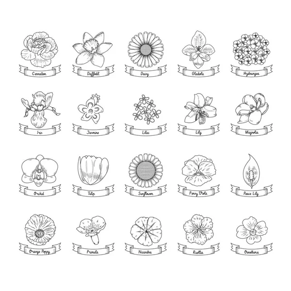 Collection Flowers Stylized Vector Illustration Vector Graphics