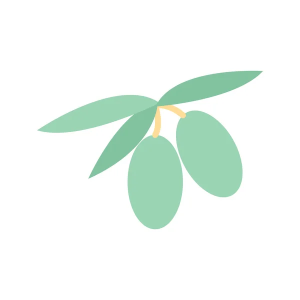 Oliven Ikone Vektorillustration — Stockvektor