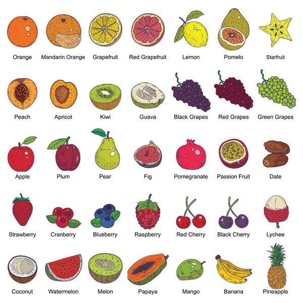 Collection of food icons flat icon, vector illustration 