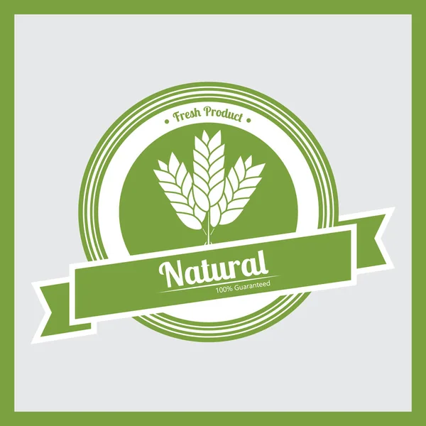 Etiqueta Ecológica Verde Vector Con Texto Hojas — Vector de stock