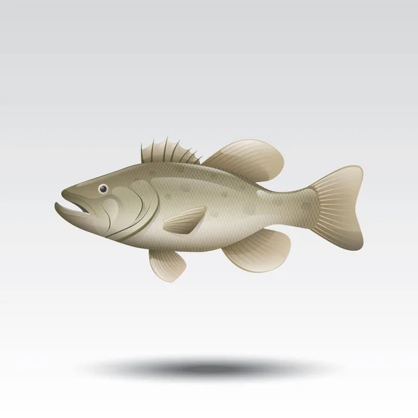 Векторная Иллюстрация Иконы Рыбы — стоковый вектор