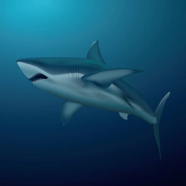 Eine Hai Illustration Design Vektor Illustration — Stockvektor