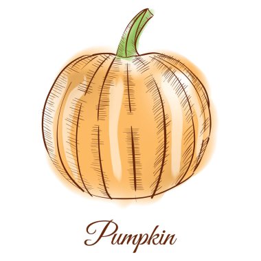 yiyecek ikonu vektör illüstrasyonu