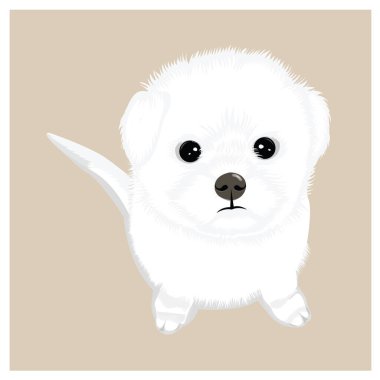 Şirin köpek yavrusu resmi, vektör illüstrasyonu