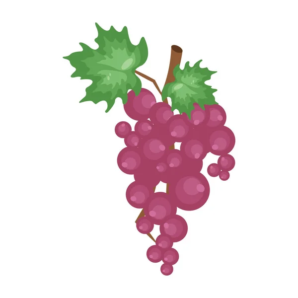 Icono Plano Uvas Ilustración Vectorial — Archivo Imágenes Vectoriales