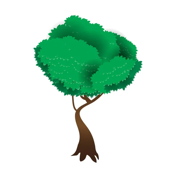 Árbol Verde Con Hojas Sobre Fondo Blanco — Vector de stock