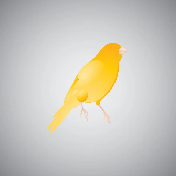 Pájaro Amarillo Sobre Fondo Blanco — Vector de stock