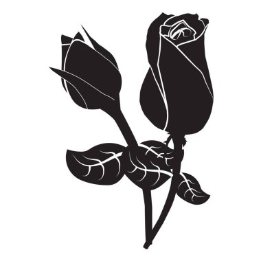 Gül simgesi, vektör çizimi