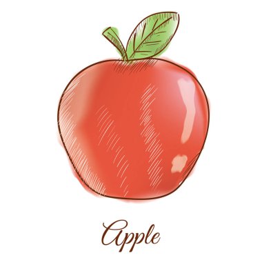 Taze domatesin vektör çizimi