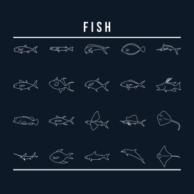 Deniz hayvanlarının vektör çizimleri.