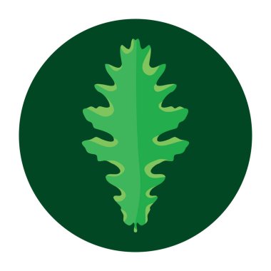 Yeşil yaprağın vektör görüntüsü