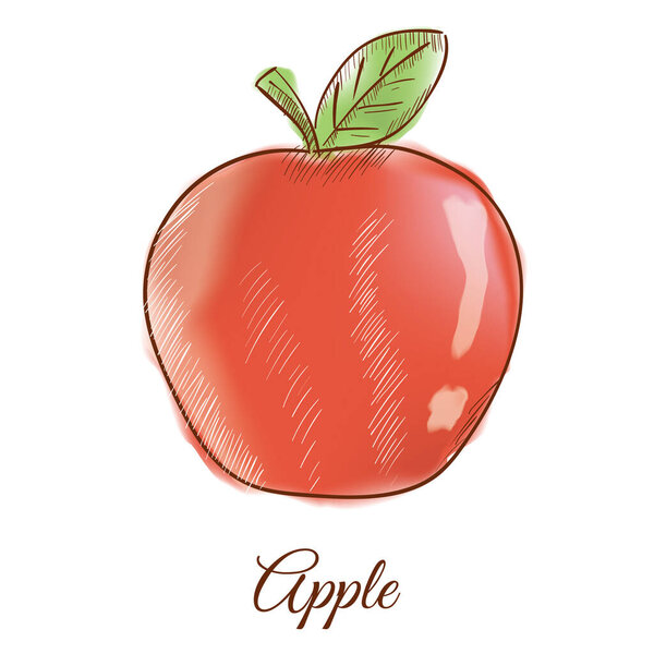 векторная иллюстрация свежего томата