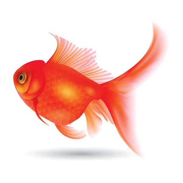 Goldfisch Flaches Symbol Vektorillustration — Stockvektor