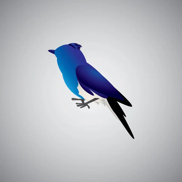 Διανυσματική Απεικόνιση Του Πτηνού — Διανυσματικό Αρχείο