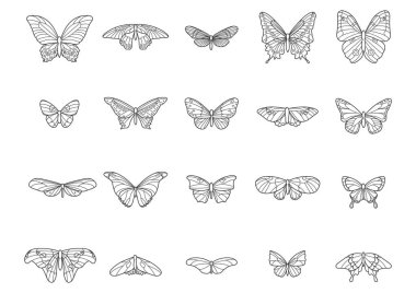Collection of butterflies  flat icon, vector illustration clipart