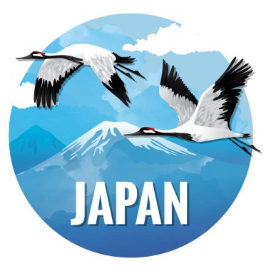 Bir kuş türünün vektör çizimi