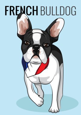 Kırmızı renkli şirin bir bulldog 'un vektör çizimi
