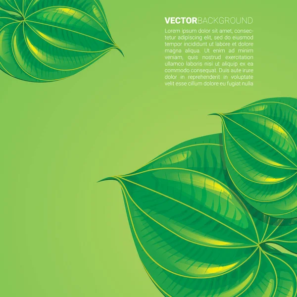 Illustration Vectorielle Feuilles Vertes Sur Fond Vert — Image vectorielle