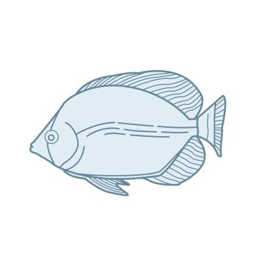 Balık, tasarım vektör illüstrasyonu