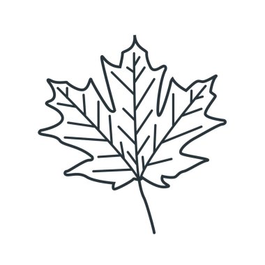 Akçaağaç yaprağı, tasarım vektörü çizimi