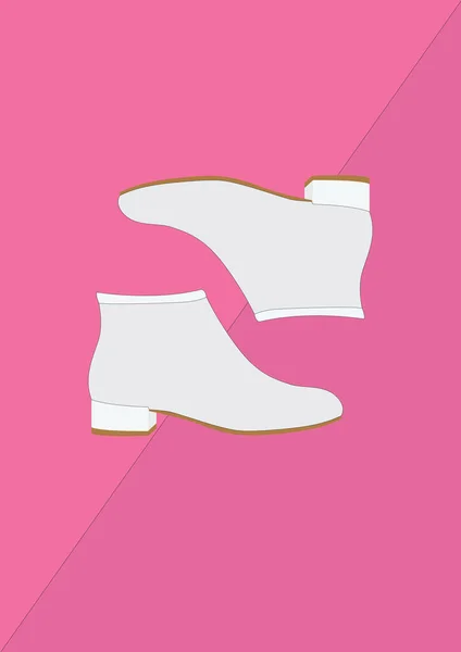 Chaussures Illustration Vectorielle Stylisée — Image vectorielle