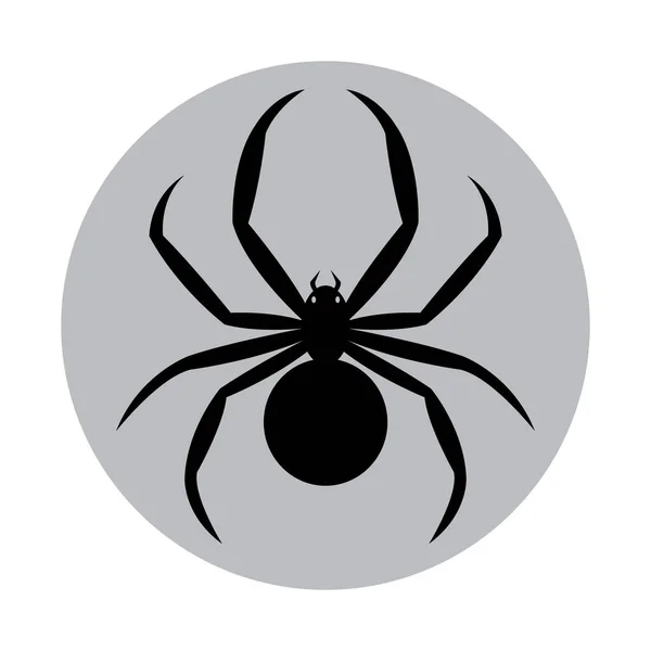 Örümcek Tasarım Vektör Illüstrasyonu — Stok Vektör