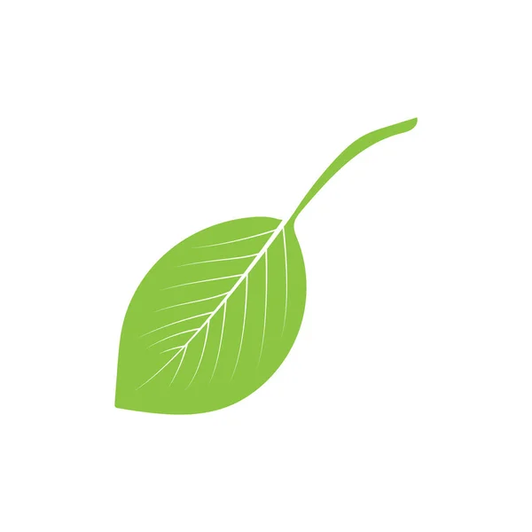 白色背景上的叶子绿色图标 — 图库矢量图片