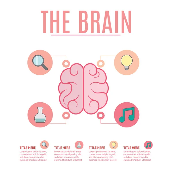 人脑和科学教育病媒图解 — 图库矢量图片