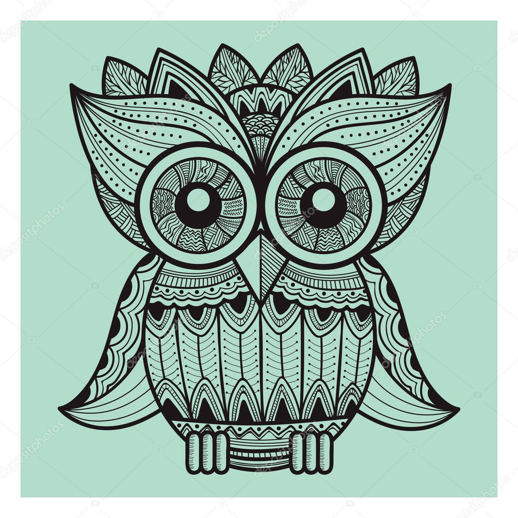 intricate owl design stylized vector illustration