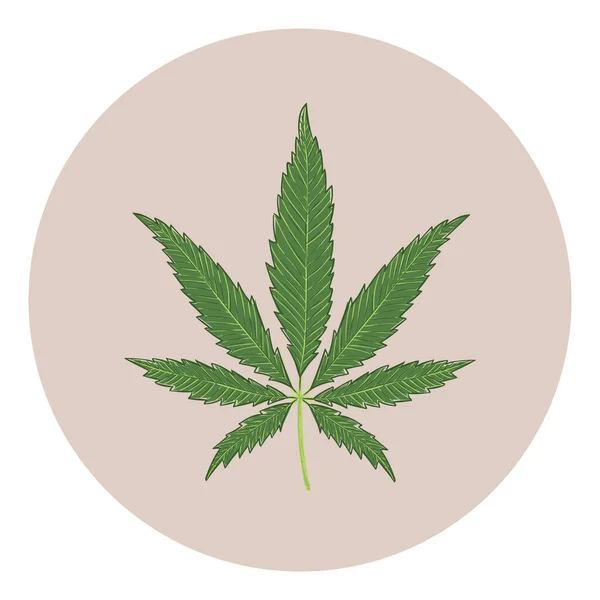 Cannabis Marijuana Leaf Icon Vector Illustration Design — Stock Vector