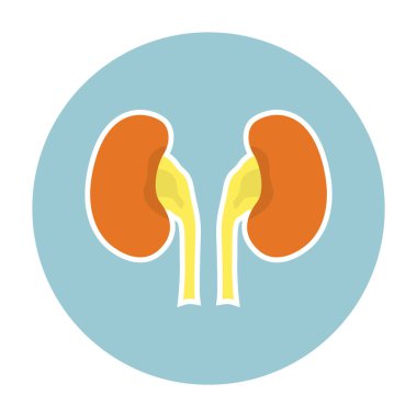İnsan ciğerleri ikonu. Web için barsak vektör simgelerinin düz çizimi