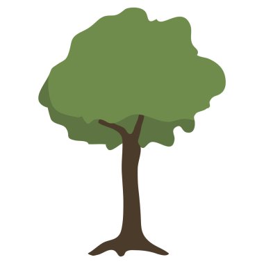 kökleri olan yeşil ağaç