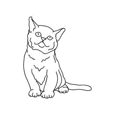 Kedi çiziminin yaratıcı vektör çizimi