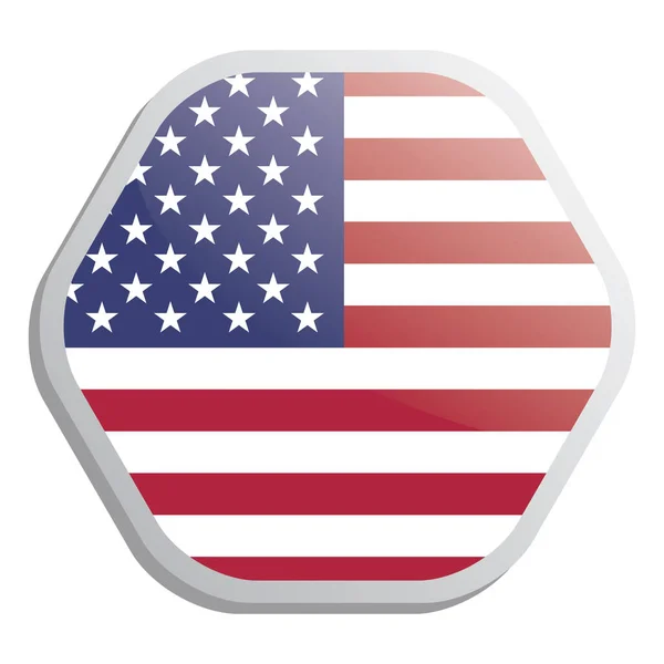 Usa Flag Vector Button — Stock Vector