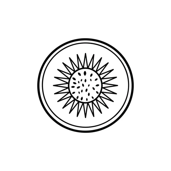 太陽の創造的なベクトル図 — ストックベクタ