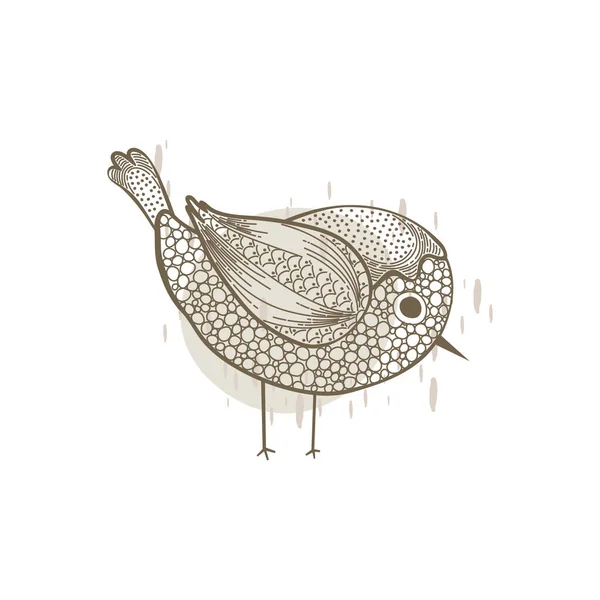 Vogel Hand Getekend Vector Illustratie — Stockvector