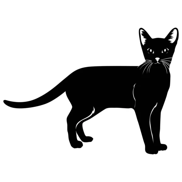 Schwarze Silhouette Einer Katze Auf Weißem Hintergrund — Stockvektor